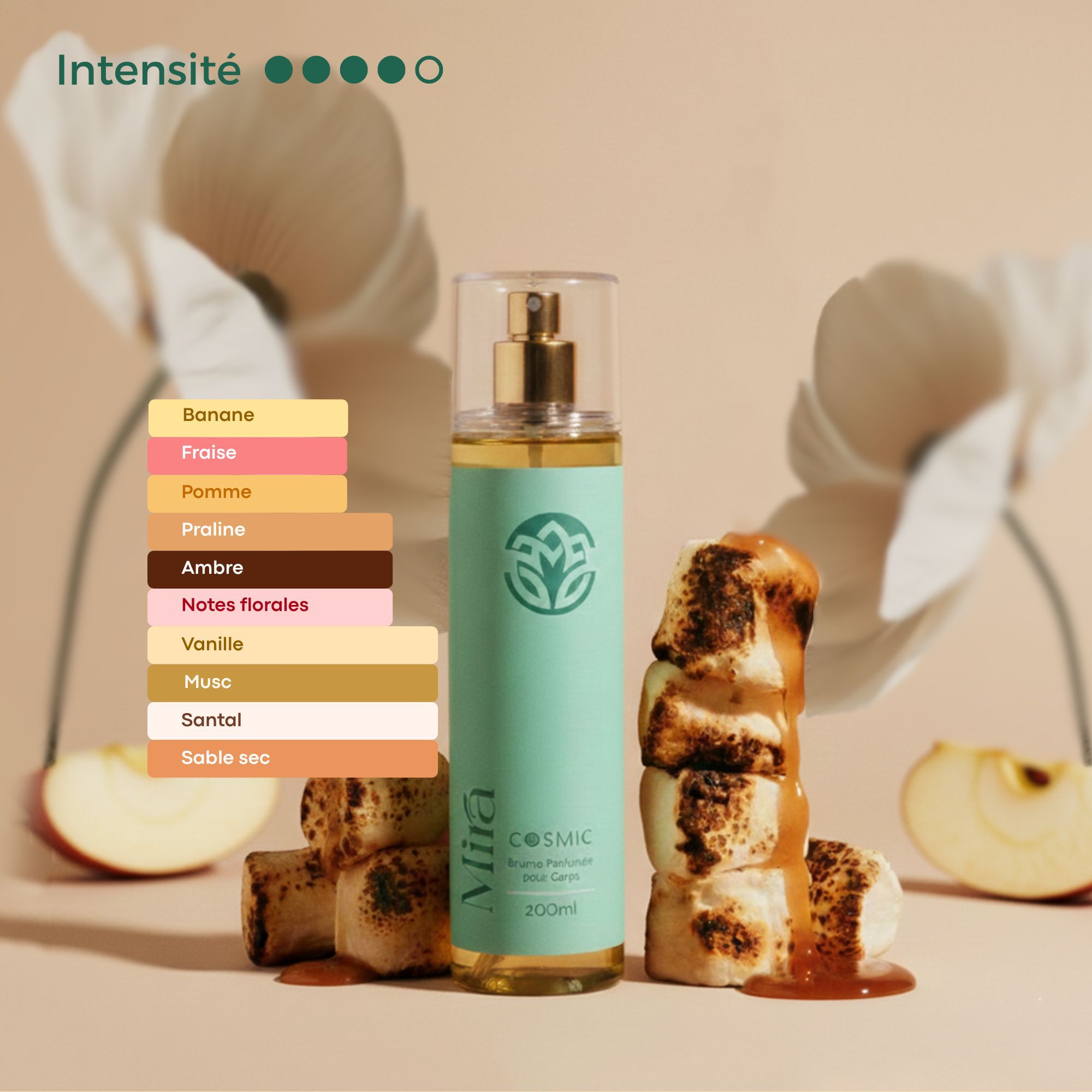 Odoo • une photo avec une légende