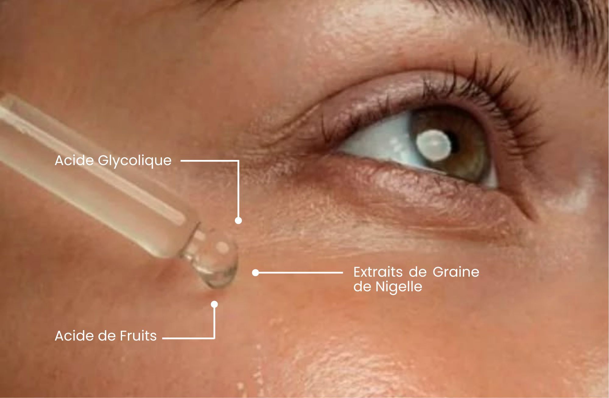 Odoo • Texte et Image