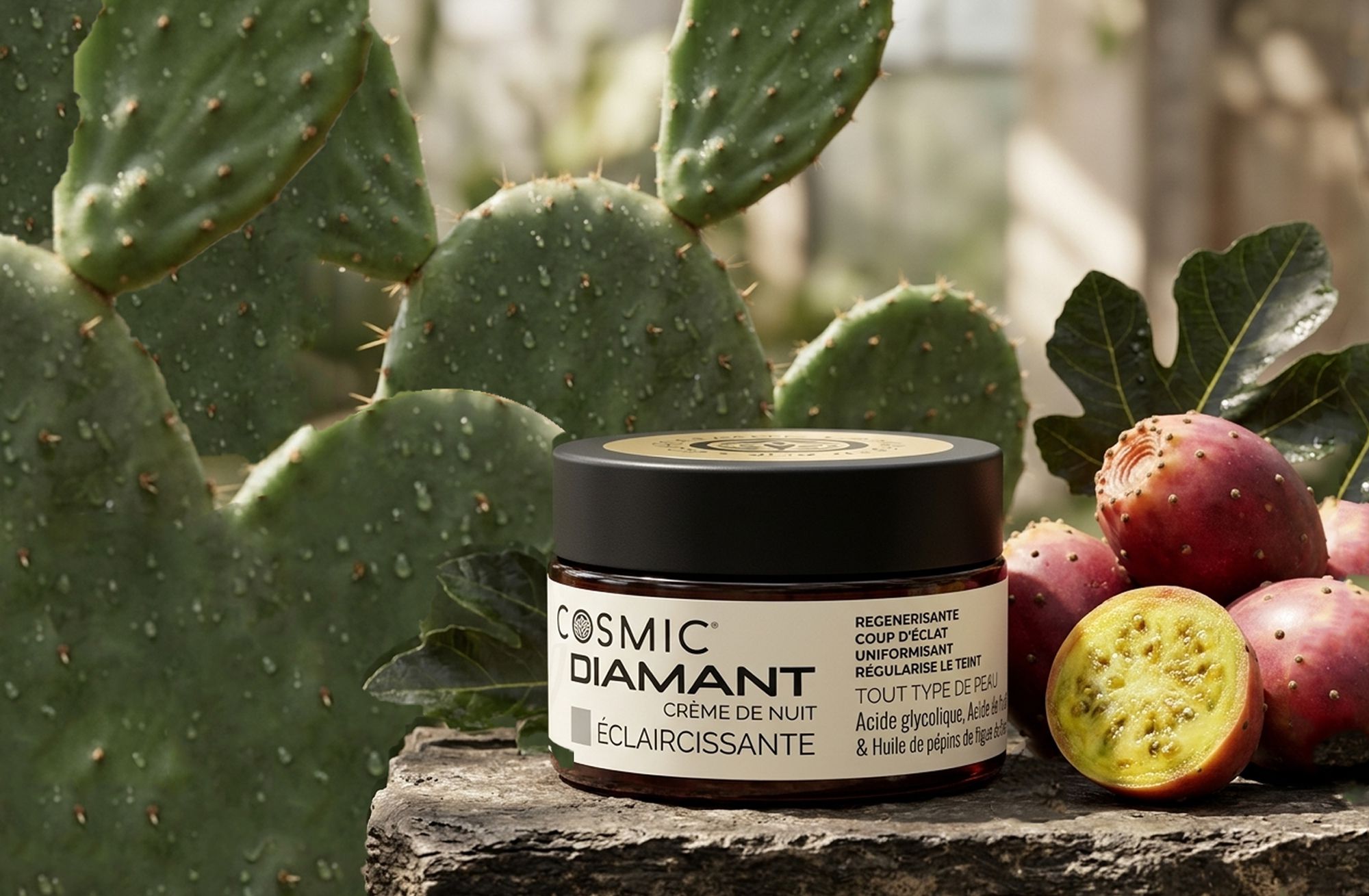 Odoo • Texte et Image